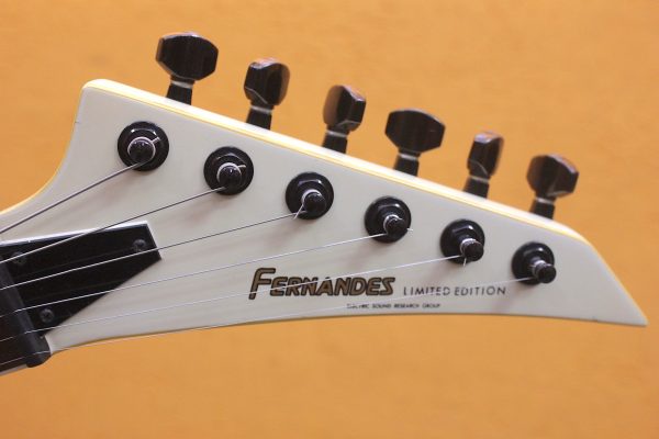 FERNANDES TE70？75-BT BUCK-TICK 繋ぐ TEJ